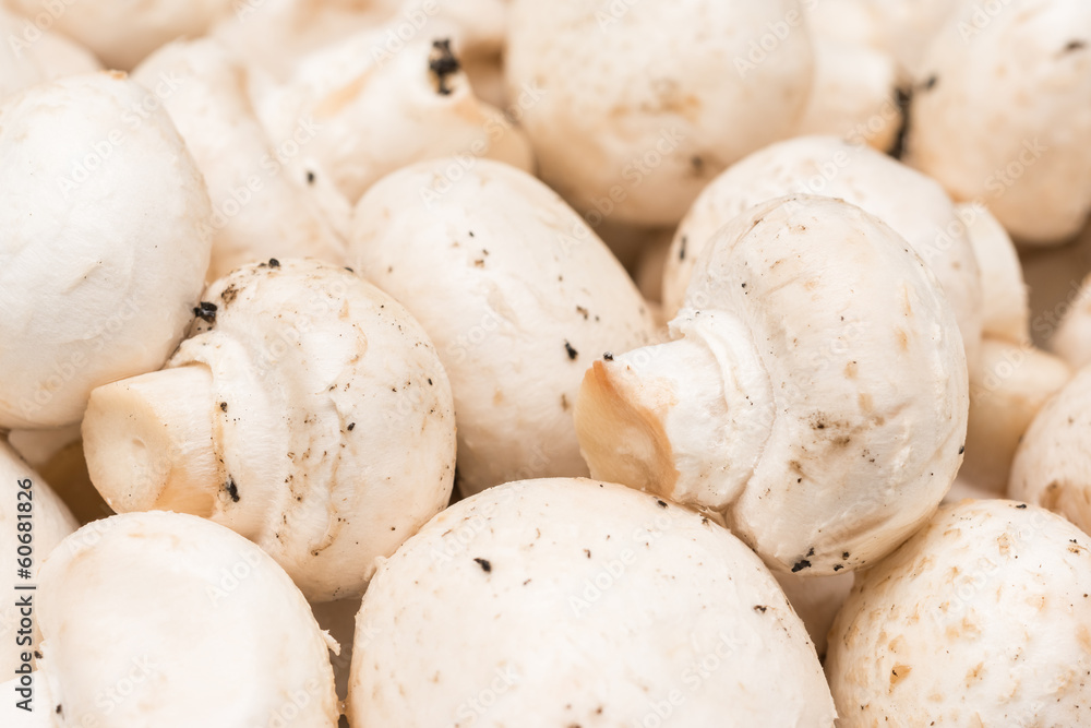 Fresh Champignon Mushrooms Pile In Market Stand