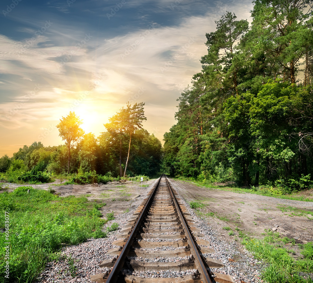 Fototapeta premium Railroad through the forest