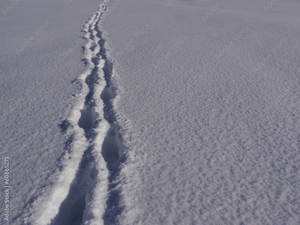 path winter landscape path winter landscape