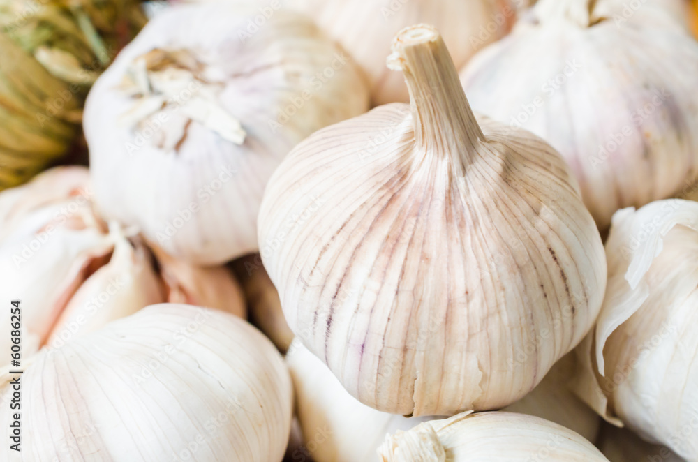 Garlic Garlic