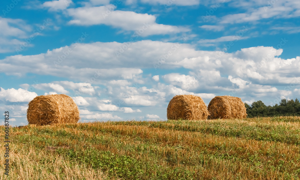 Straw bales.