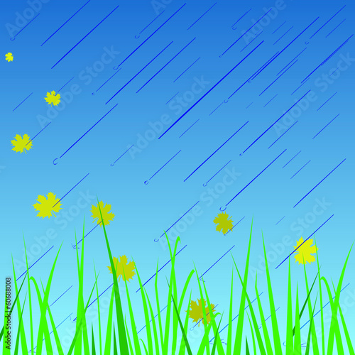 autumn rain grass and falling leaves