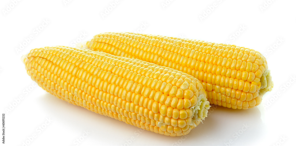 corn isolated on white background corn isolated on white background
