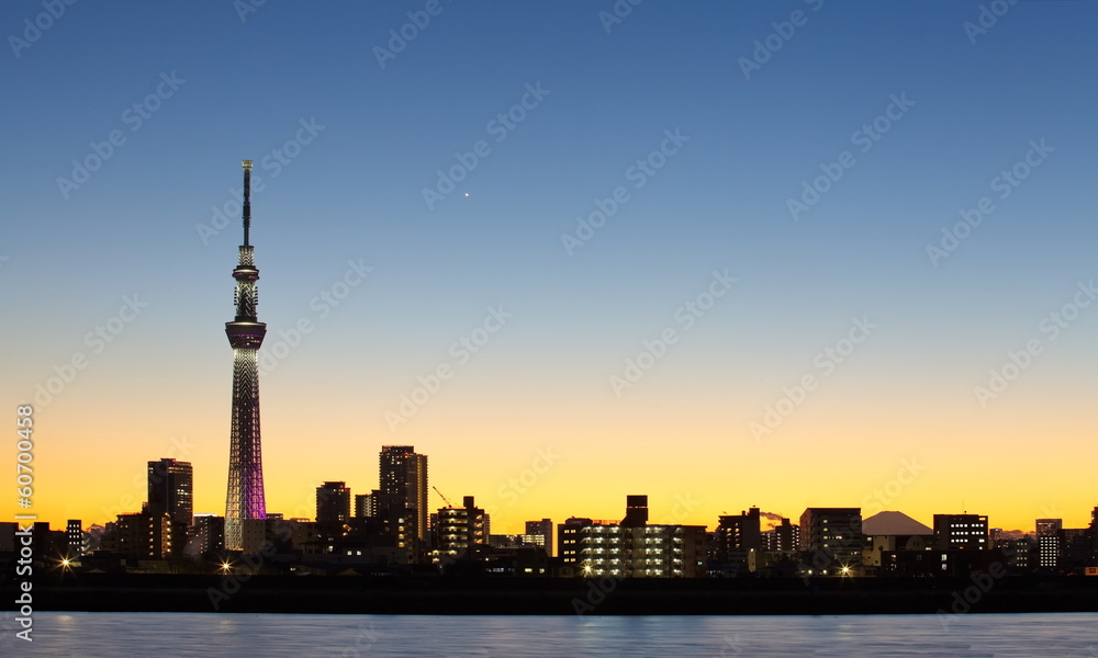 Tokyo city view and tokyo sky tree , sihouette skyline