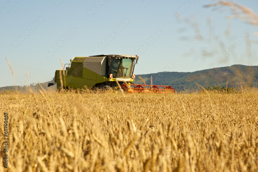 Obraz premium Combine harvester at work harvesting a field of wheat.