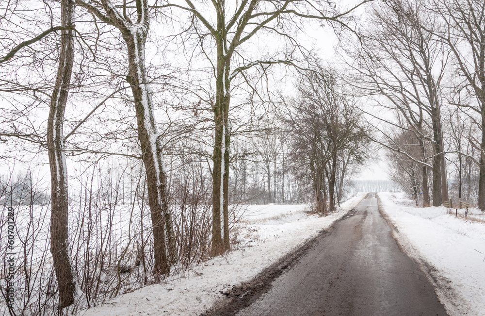 Country road in winter