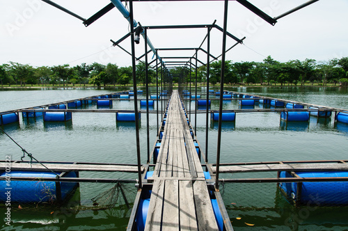 Open water fish farm