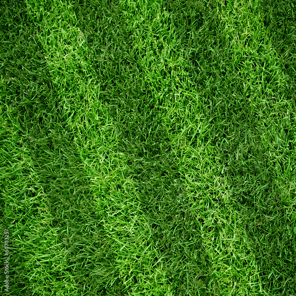 Naklejka premium Sport lined grass field