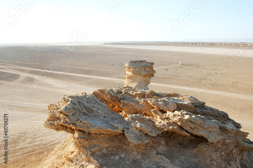 Camel head rock photo