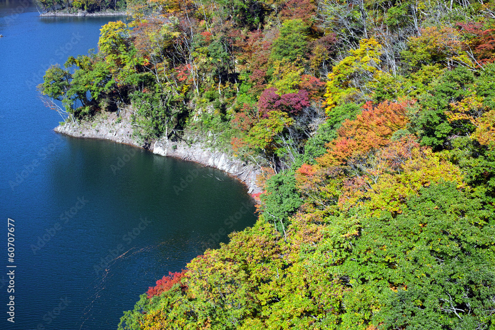 長井　百秋湖の紅葉