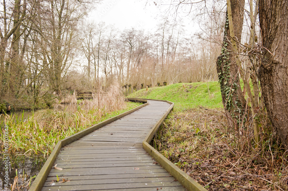 Wooden pathway through swamp forest Wooden pathway through swamp forest