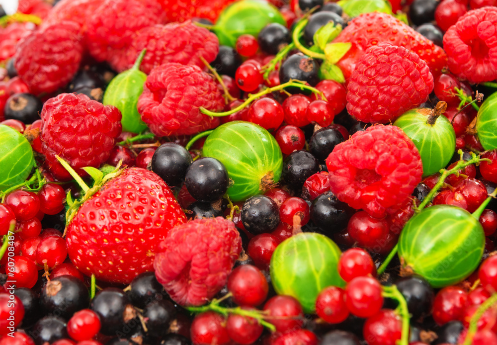 ripe berries ripe berries