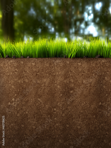 Ground Section