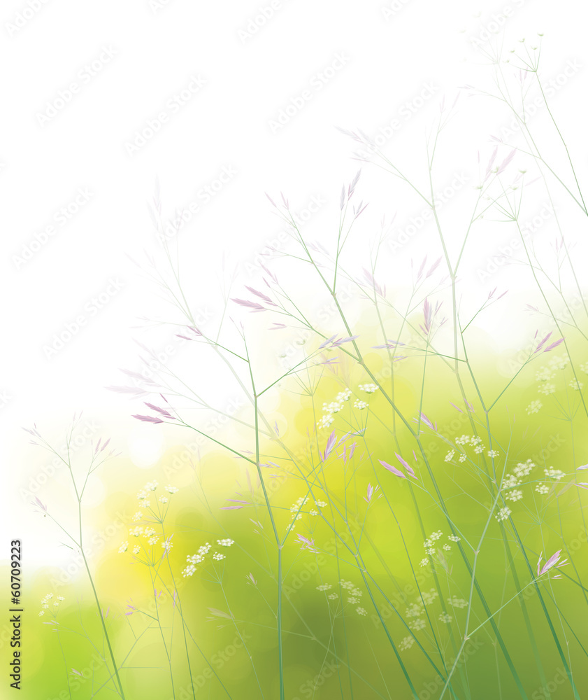 Vector wildflowers background.