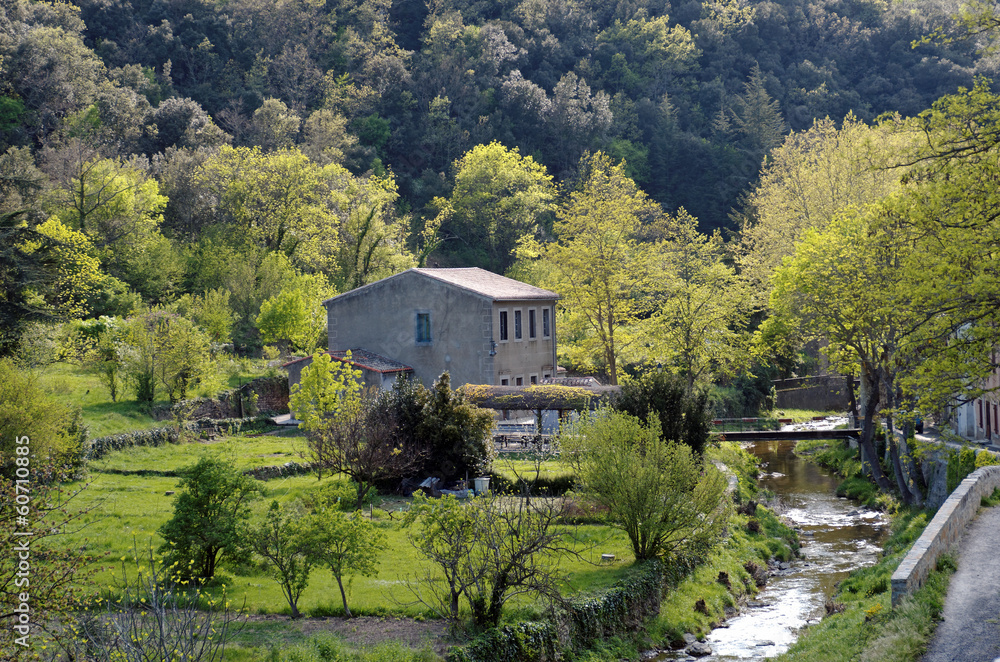 Fototapeta premium Termes village du pays cathare
