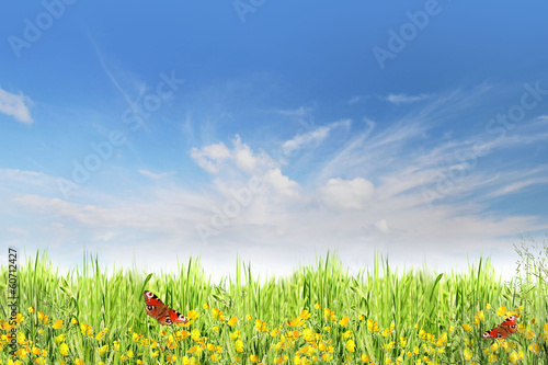 beautiful spring background