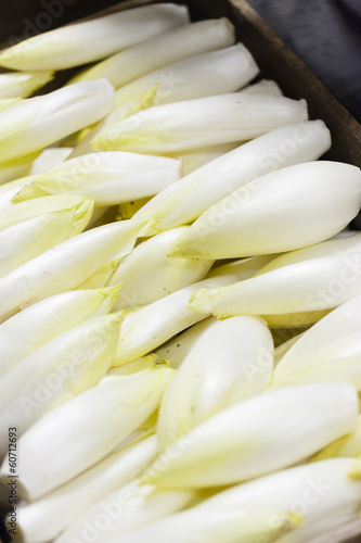 fresh cleaned endives ready to pack