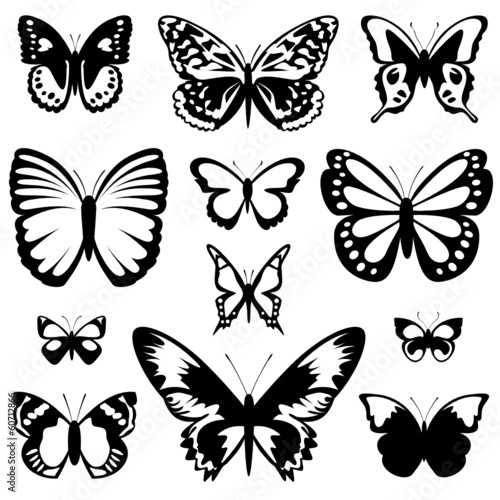 Schmetterlinge Vektor Set © Naturestock