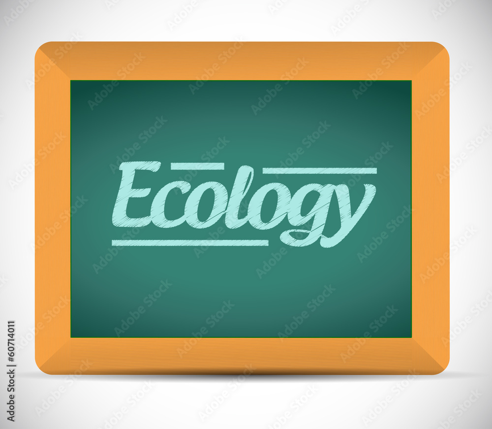 ecology word written on a blackboard. illustration ecology word written on a blackboard. illustration