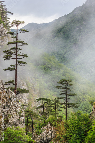 Tasnei Gorge photo