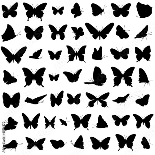Schmetterlinge Vektor Set