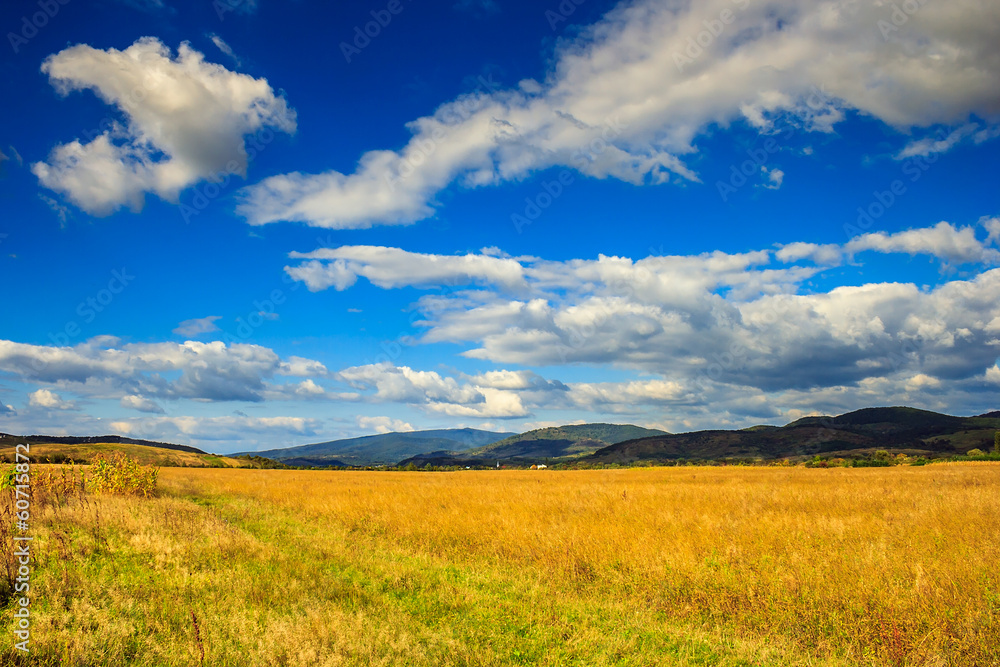 wheat field near the mountain village