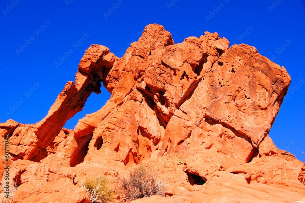 Elephant Rock, Valley of Fire State Park, Nevada, USA