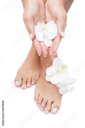 Beautiful woman's hands and legs