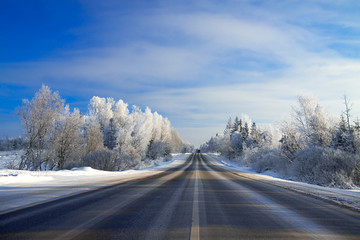 winter landscape with the road the forest