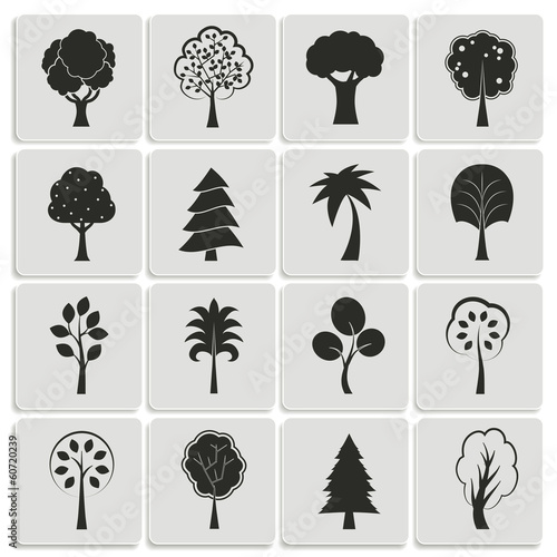 Green forest trees design elements