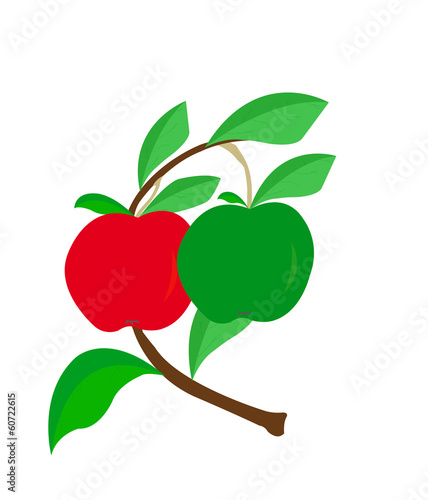 apples