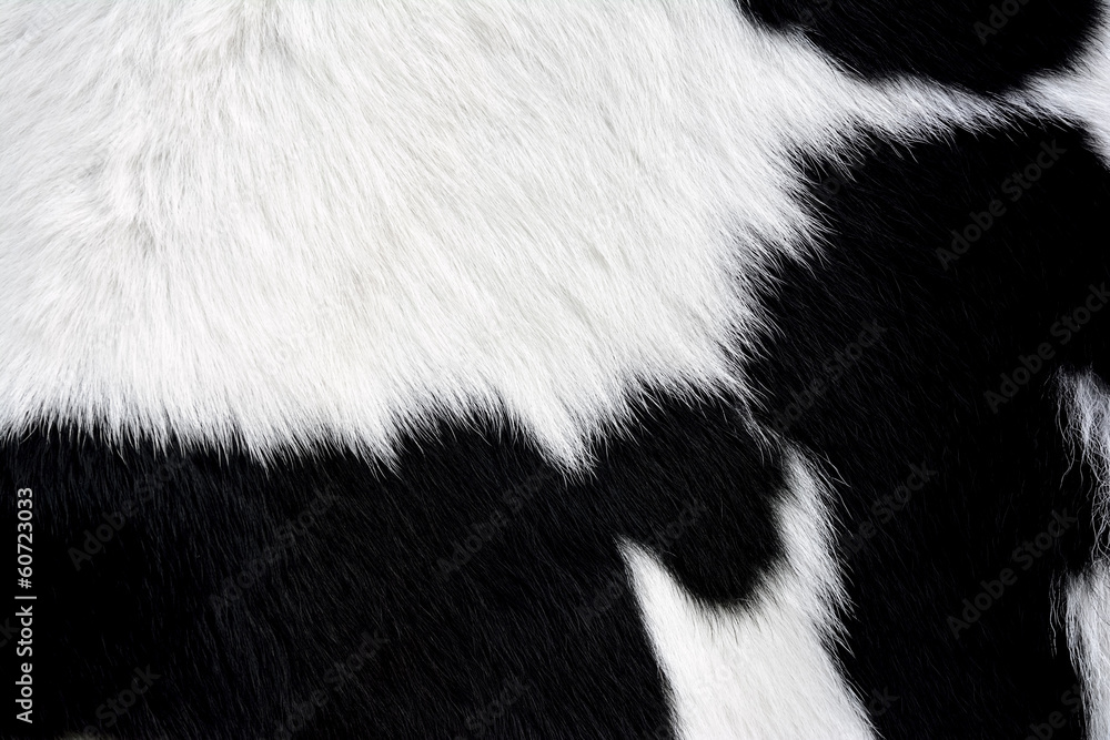 Naklejka premium Futro krowy (skóra) czarno-białe, tło lub tekstura