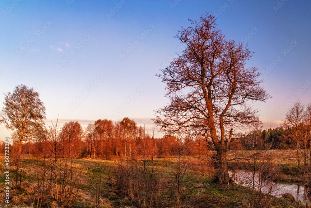 Summer sunset around field and river Summer sunset around field and river
