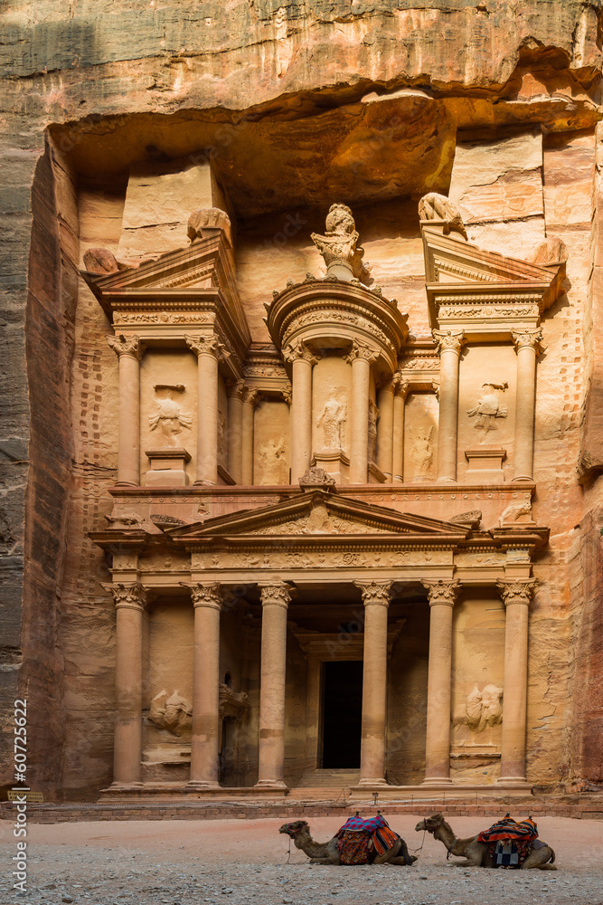 Camel and Treasury at Petra, Jordan