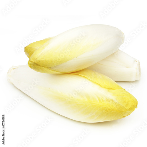 Endive - Chicory - Chicon - Witloof photo