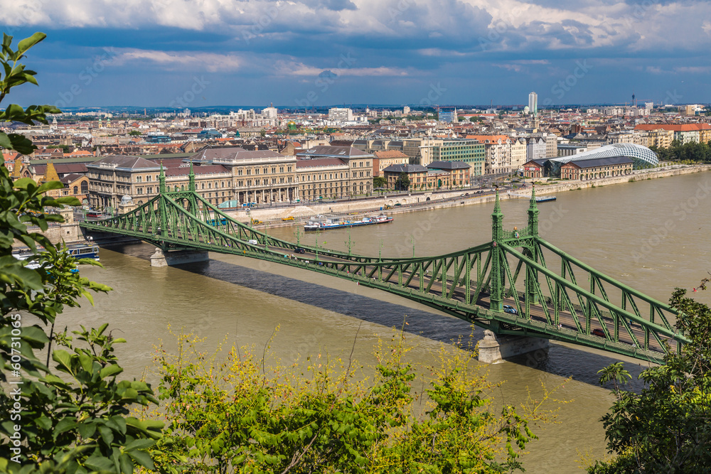 Fototapeta premium Liberty Bridge in Budapest.