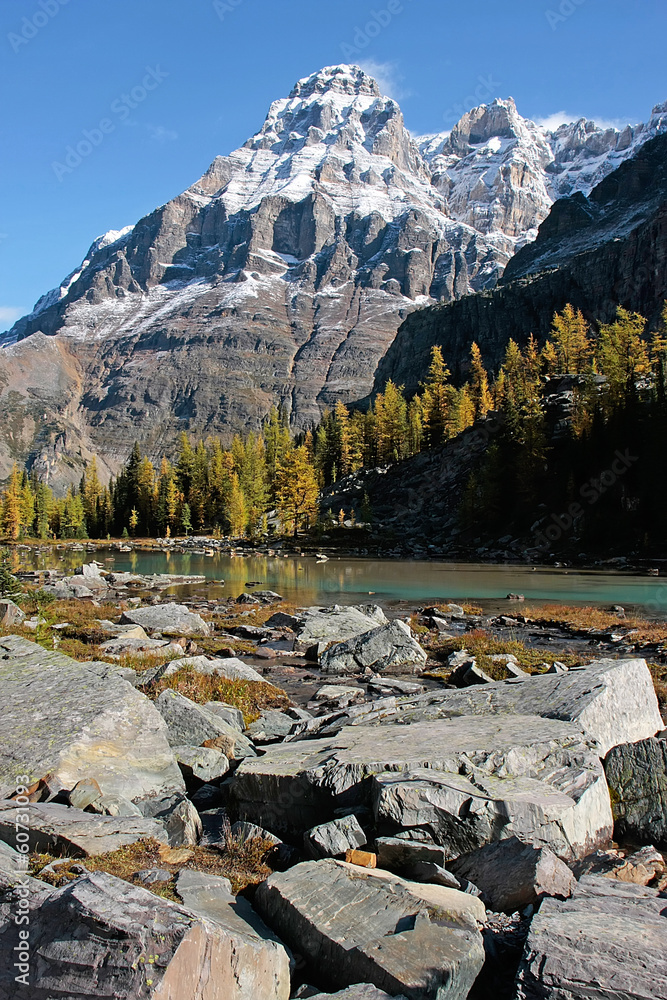 Mount Huber and Opabin Plateau, Yoho National Park, Canada Mount Huber and Opabin Plateau, Yoho National Park, Canada
