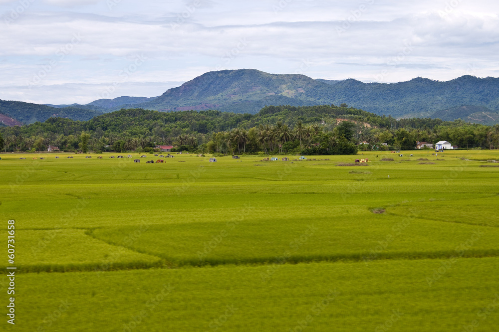 Countryside in Southern Vietnam