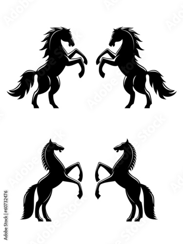 Two rearing up horses silhouettes