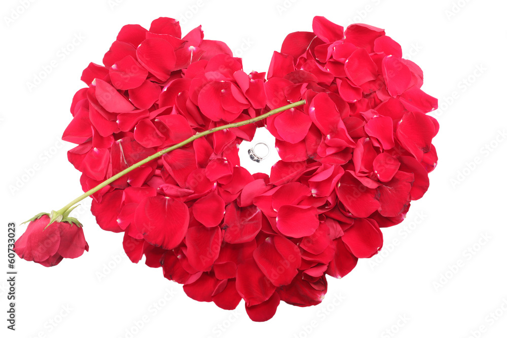 heart shape of petals with a ring and a red rose heart shape of petals with a ring and a red rose