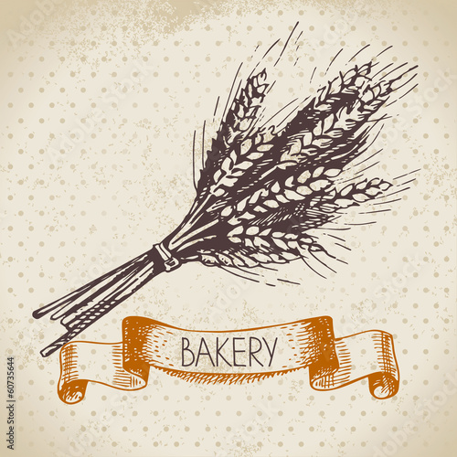 Bakery sketch background. Vintage hand drawn illustration of whe