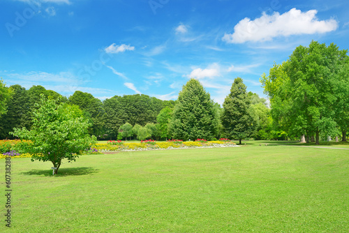Fototapeta Naklejka Na Ścianę i Meble -  Beautiful meadow in the park