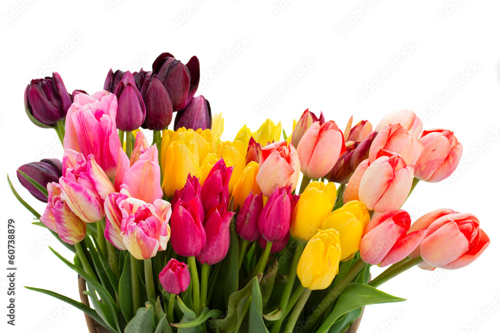 Bunch of multicolored tulips flowers close up