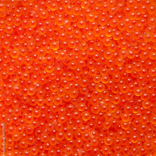 Canvas Print Closeup image of fresh salmon roe caviar