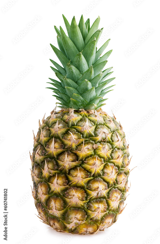 pineapple pineapple