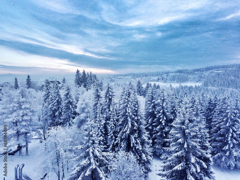 Obraz premium thüringer wald