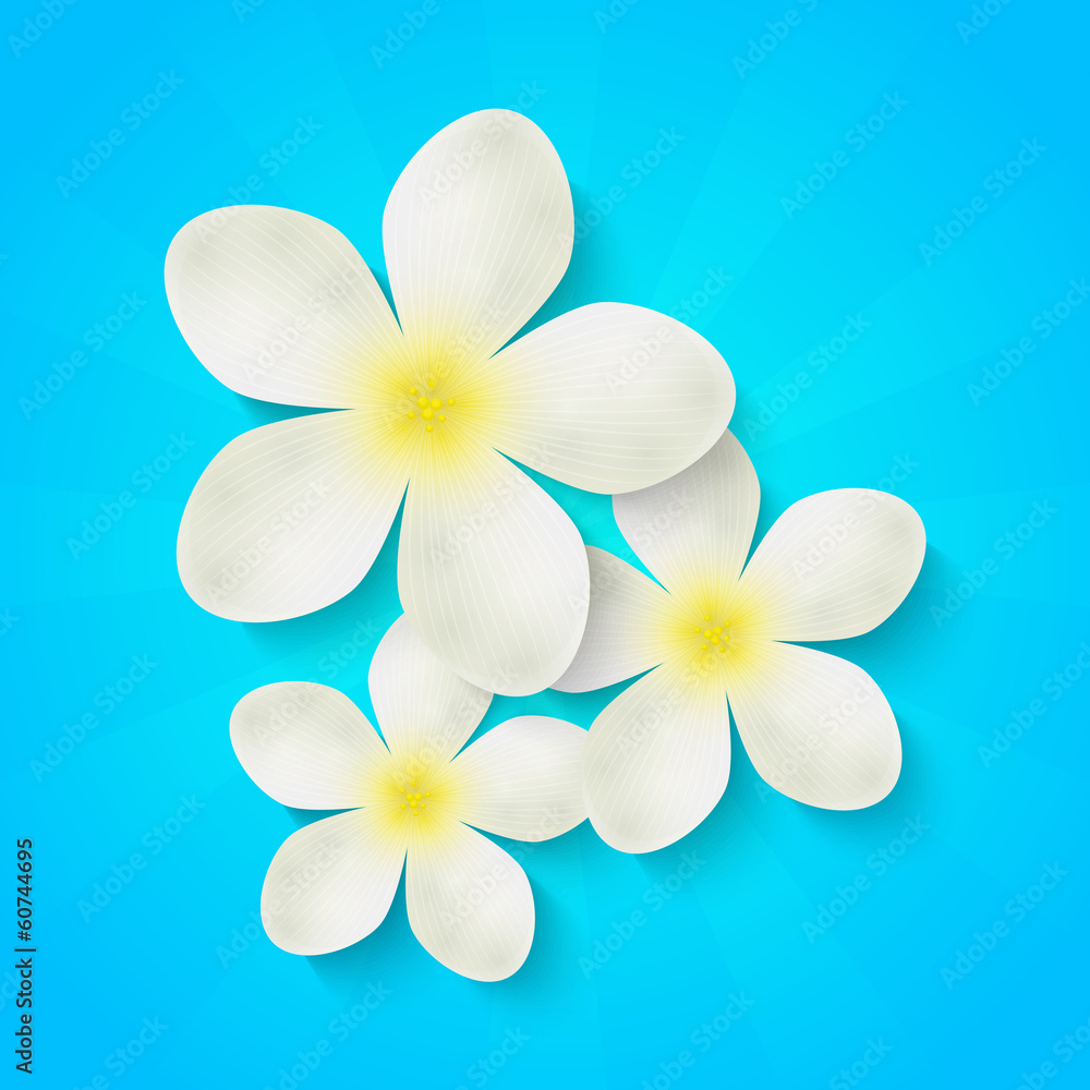 Naklejka premium White flowers on blue background