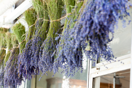 Obraz na plátně Levander bouquet