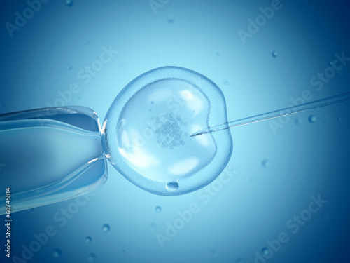 Close up of in vitro fertilisation (IVF). photo