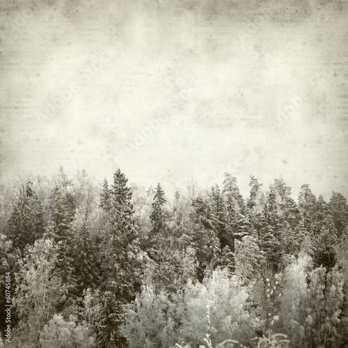 textured old paper background © Tamara Kulikova